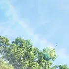 プライバシーポリシー